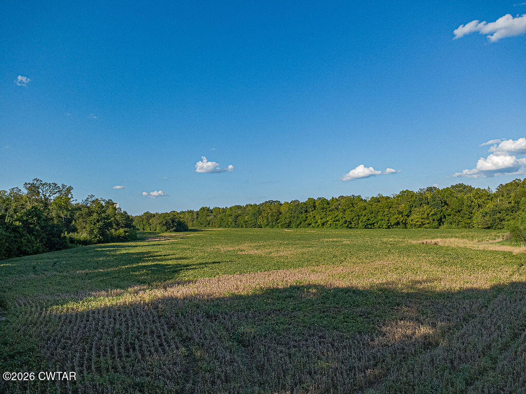 0 Cotton Grove Road Jackson, TN 38301 - Photo 8 of 23 DJI_0636