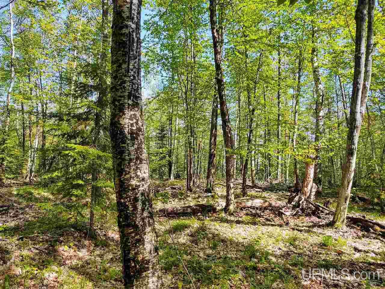 Tbd-parcel Point Abbaye Road Lanse, MI 49946 - Photo 20 of 26