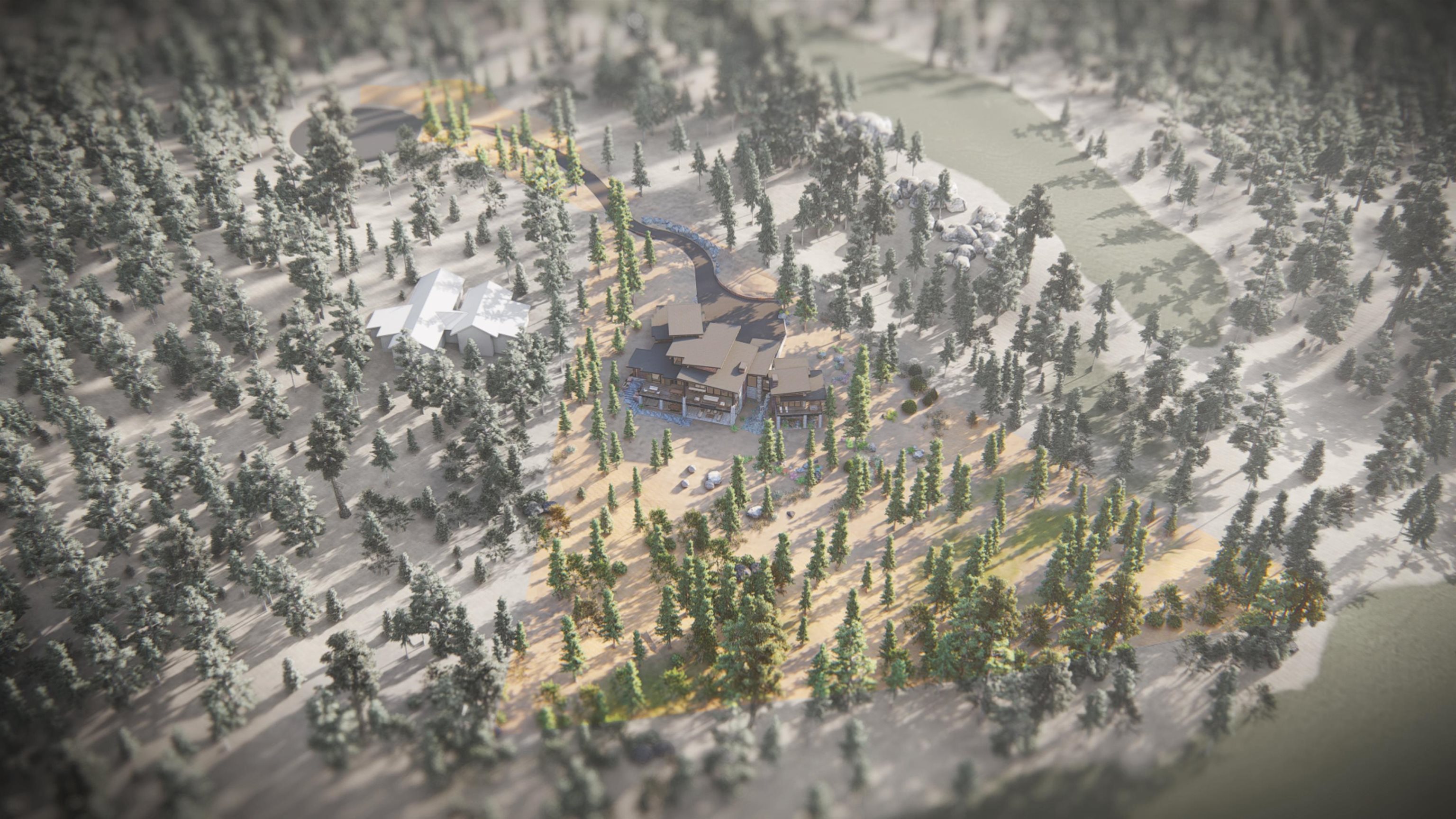 191 Cartwright Court Carson City, NV 89705 - Photo 12 of 28 a picture of a tree