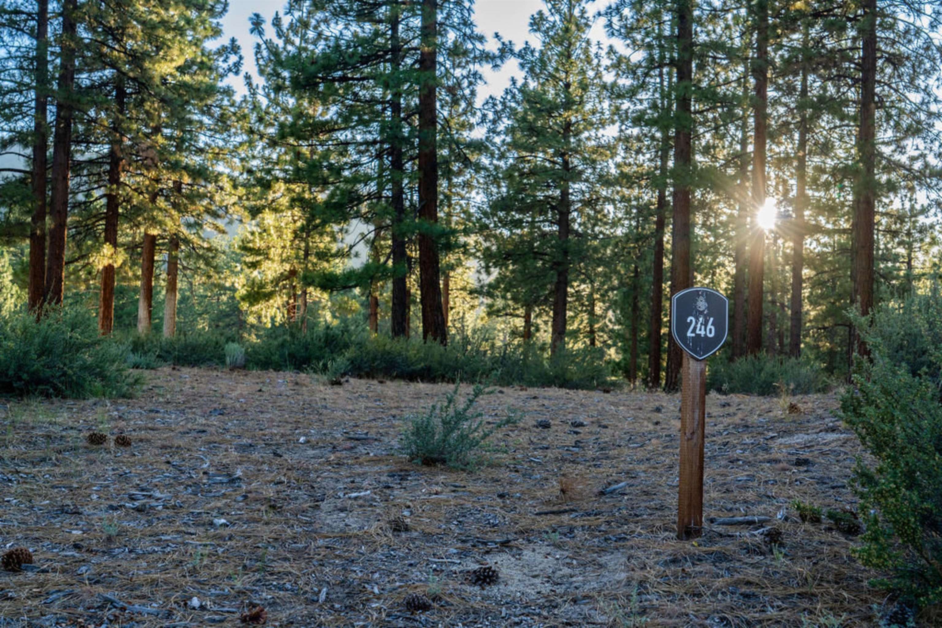191 Cartwright Court Carson City, NV 89705 - Photo 15 of 28 a view of a street with trees