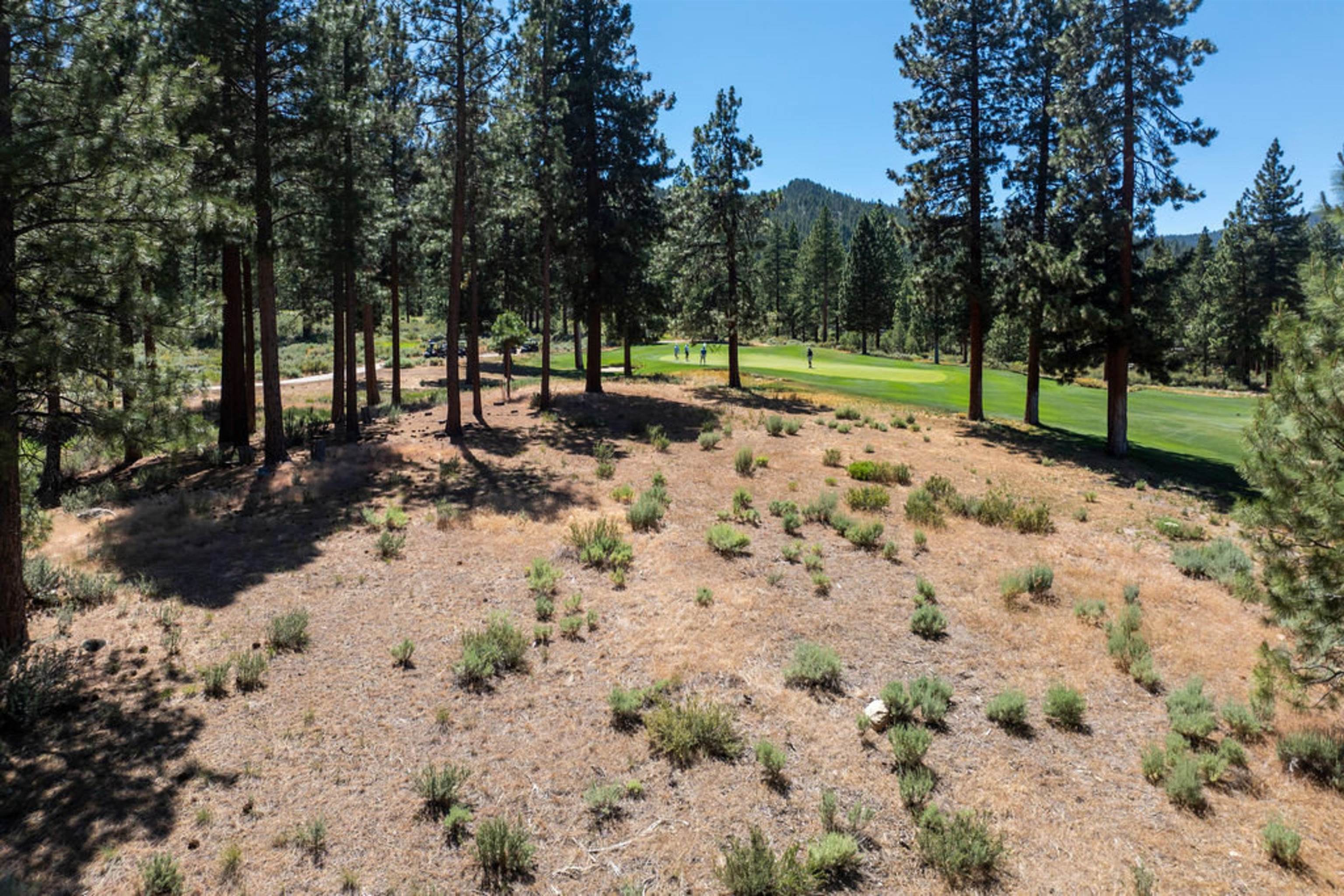 191 Cartwright Court Carson City, NV 89705 - Photo 18 of 28 a view of road with trees