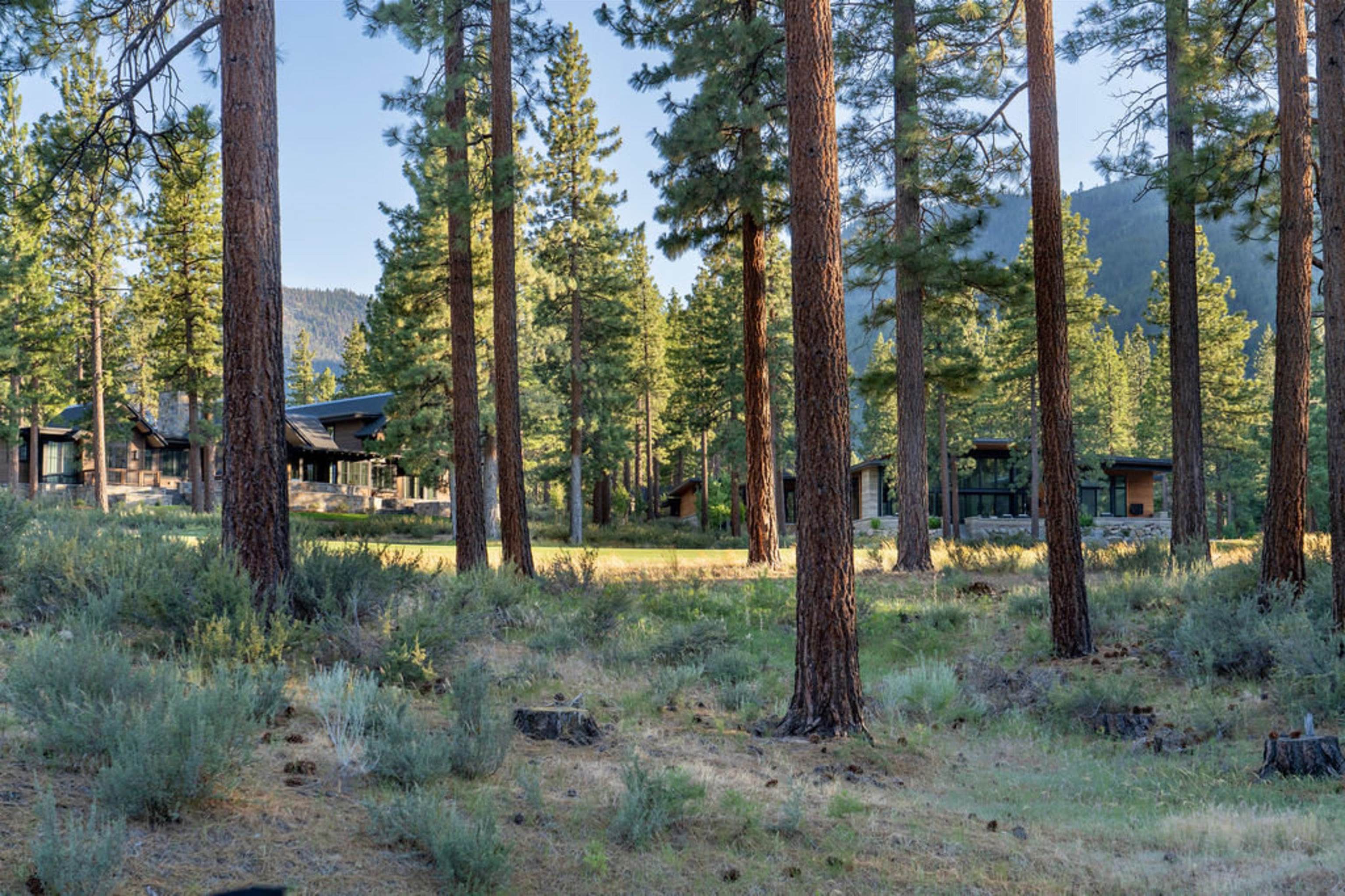 191 Cartwright Court Carson City, NV 89705 - Photo 20 of 28 a view of a forest