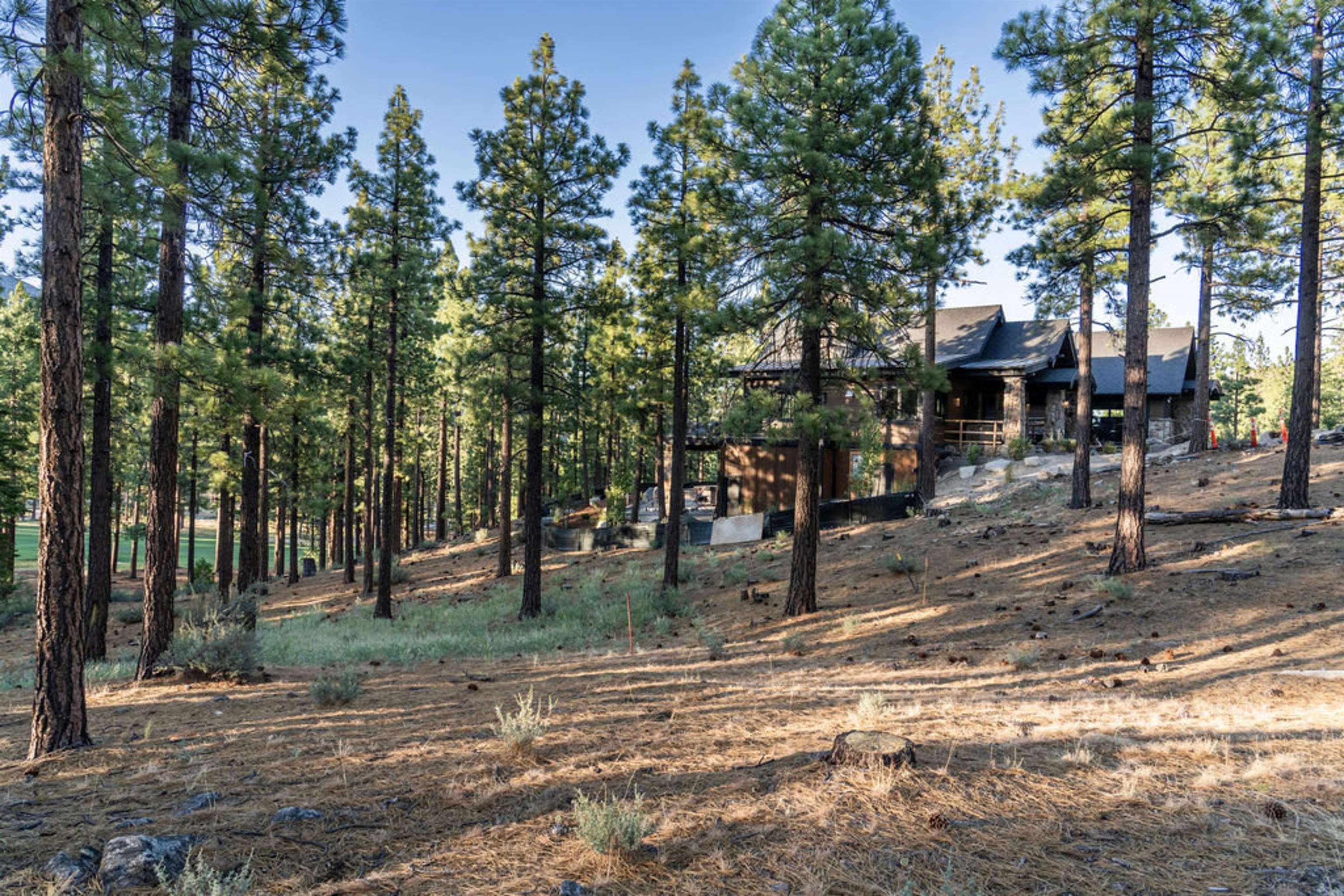 191 Cartwright Court Carson City, NV 89705 - Photo 27 of 28 a backyard of a house with lots of trees