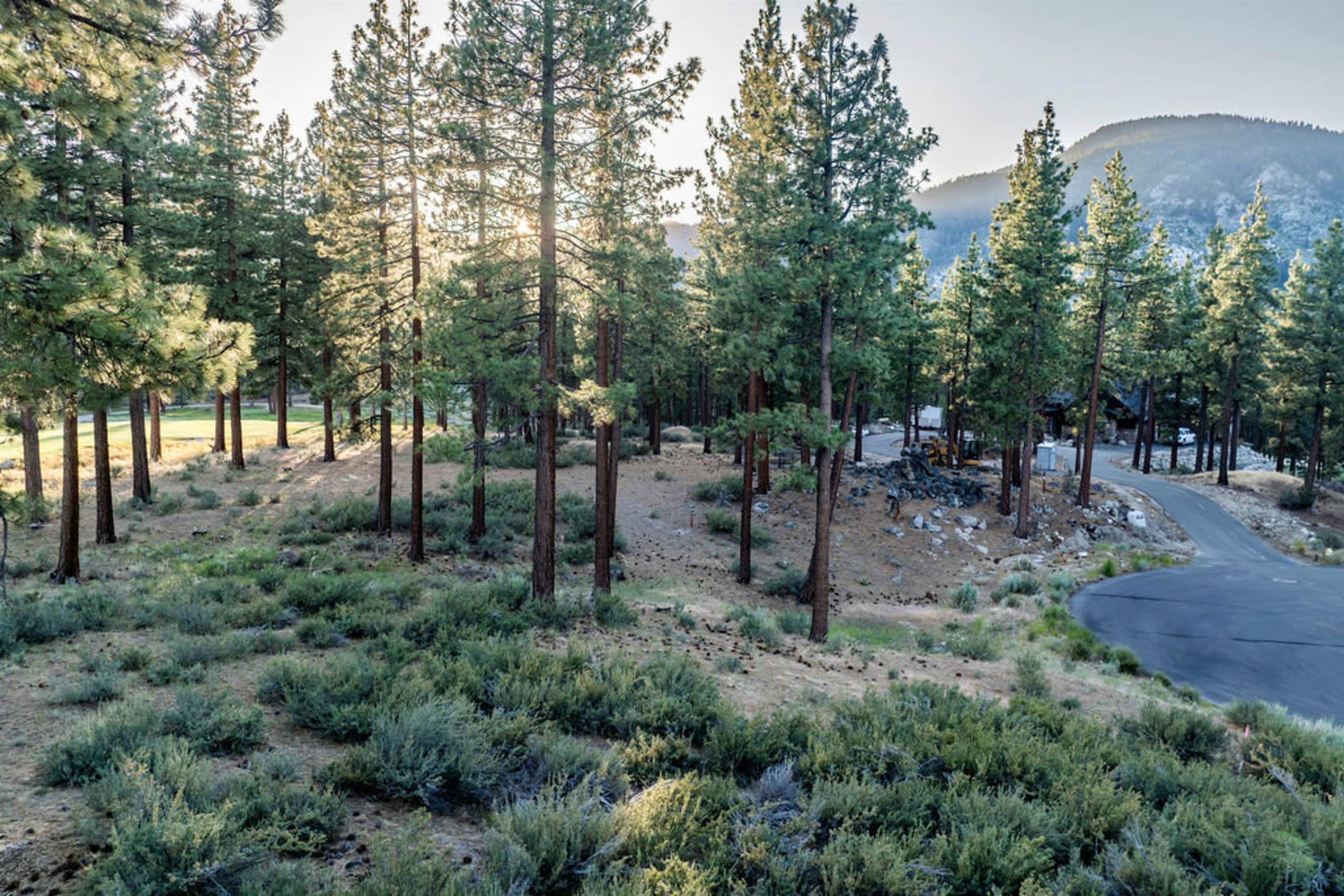 191 Cartwright Court Carson City, NV 89705 - Photo 4 of 28 a view of outdoor space with lots of trees