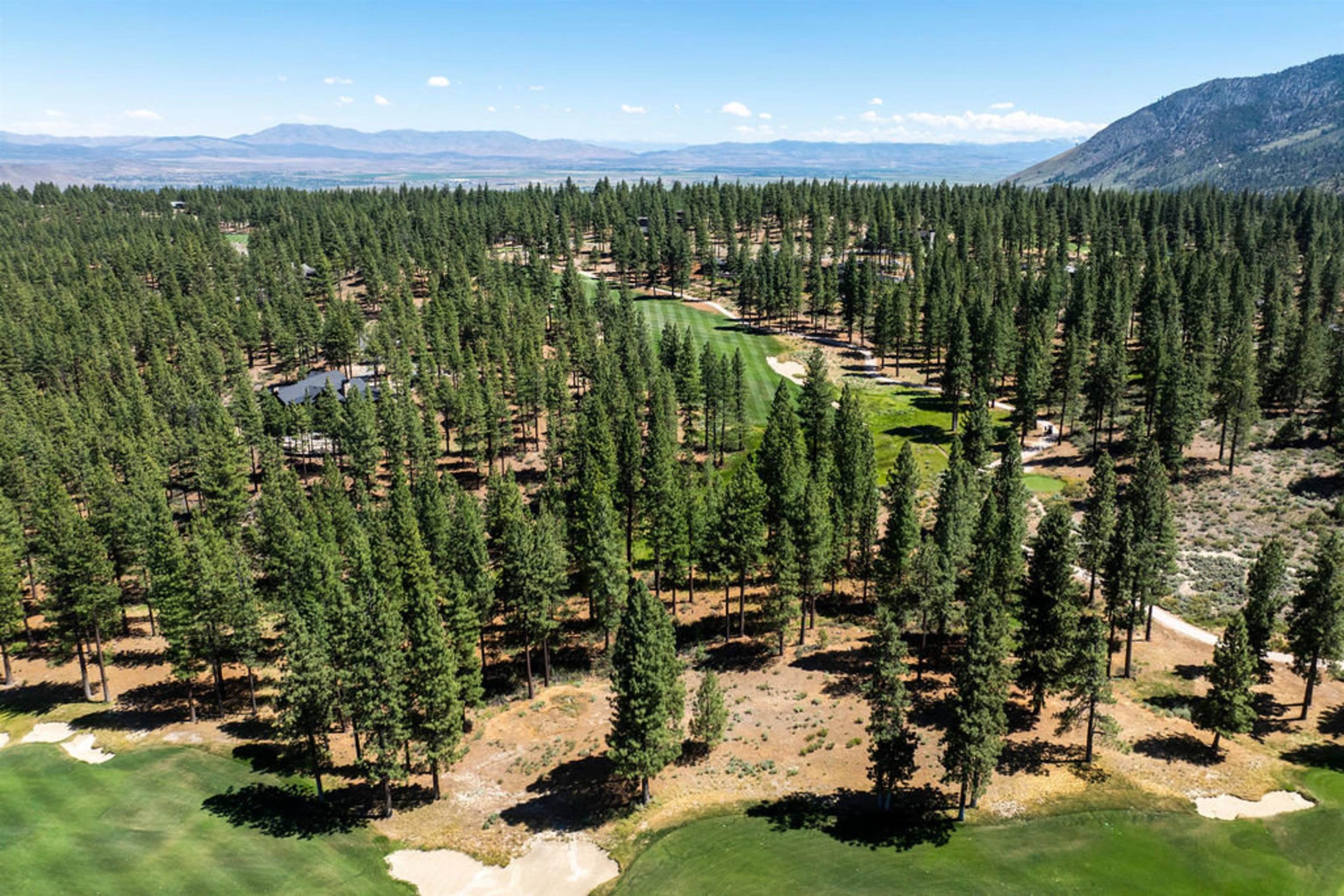 191 Cartwright Court Carson City, NV 89705 - Photo 5 of 28 a view of a garden