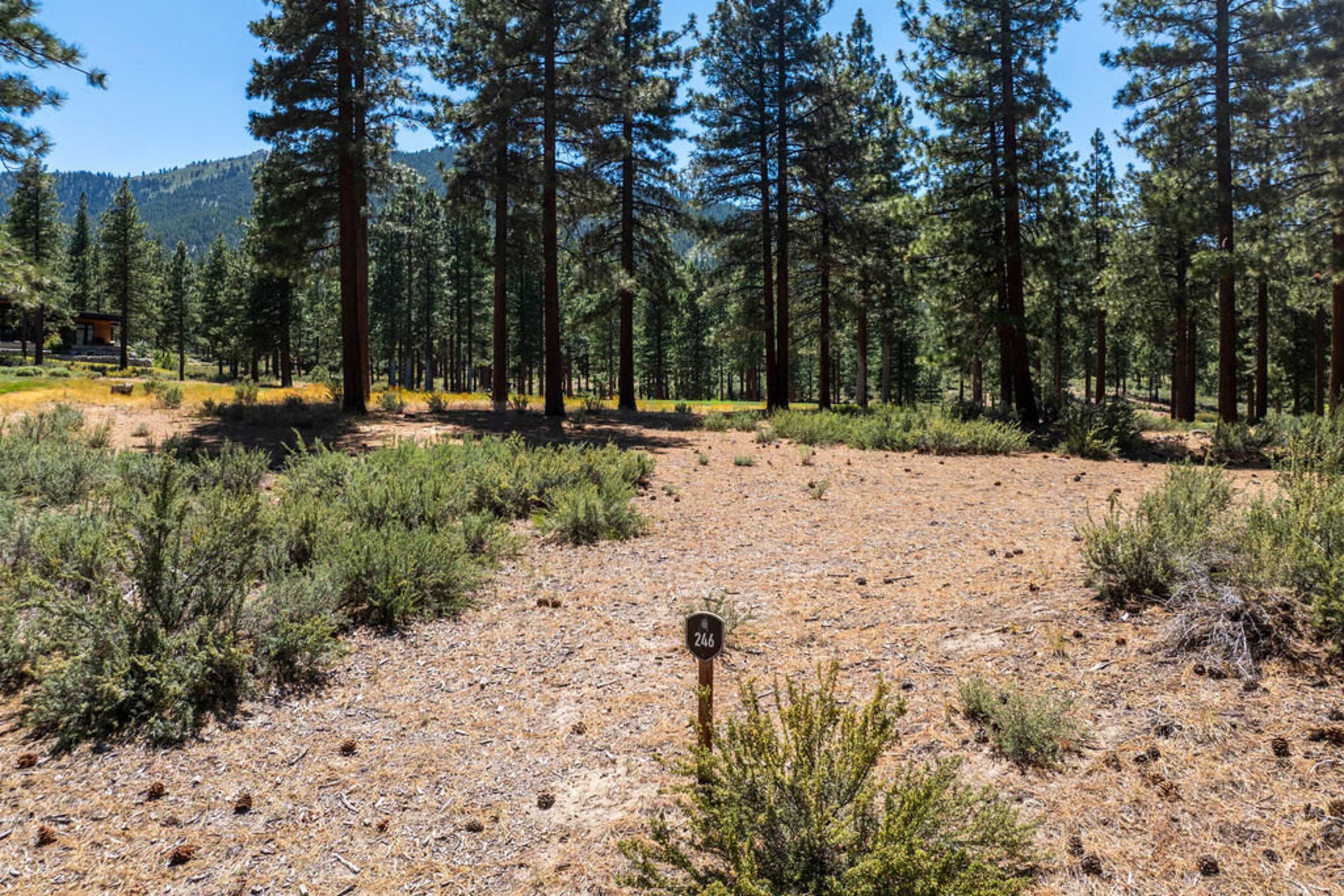 191 Cartwright Court Carson City, NV 89705 - Photo 9 of 28 a view of a yard with trees