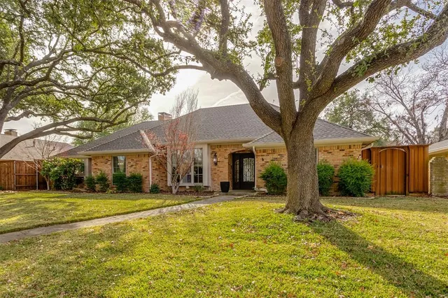 a view of a large trees with a big yard and large trees