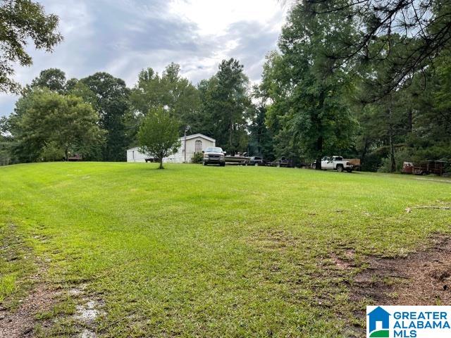 2829 Leander Road Daviston, AL 36256 - Photo 5 of 20