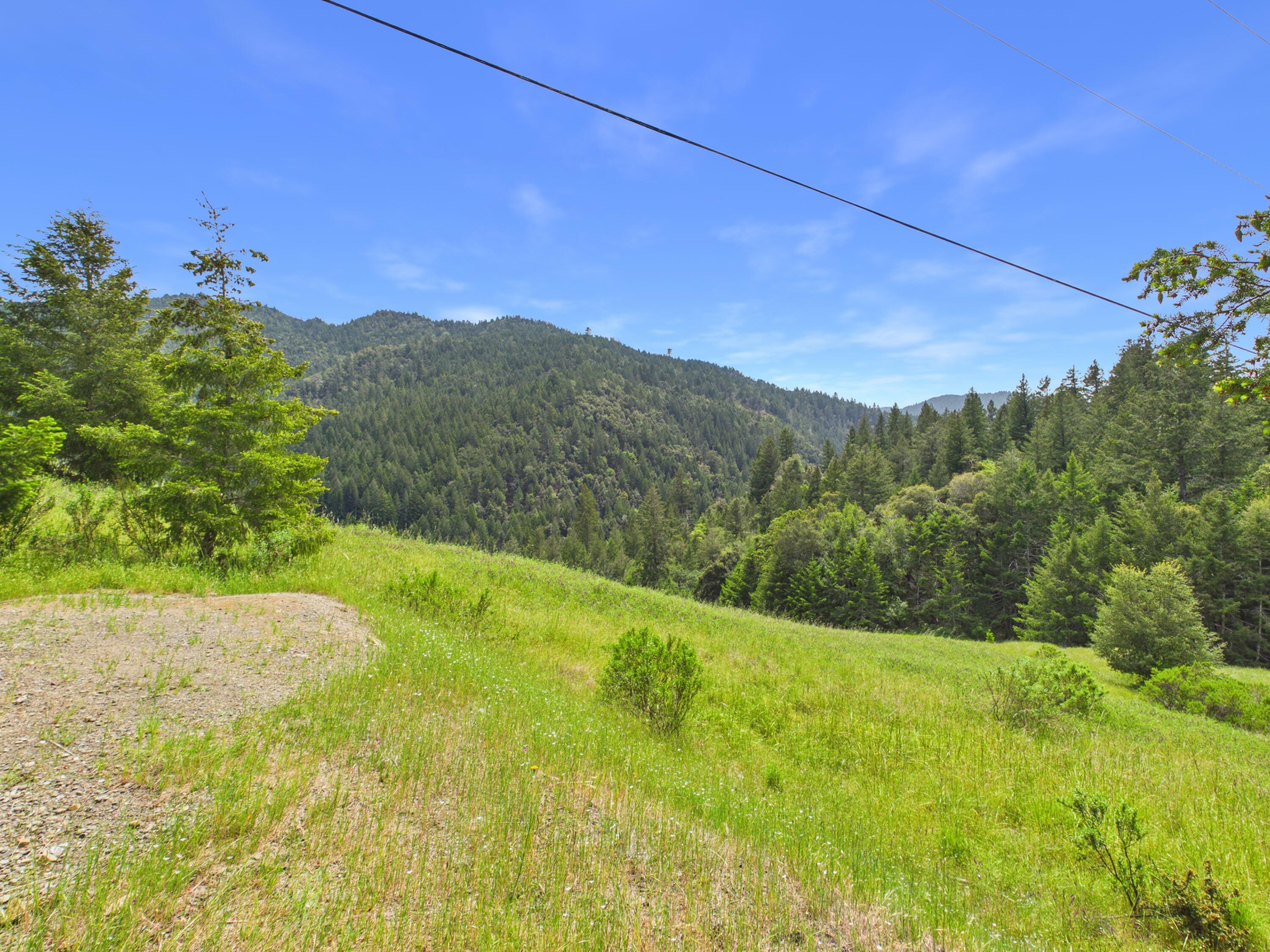 565 Bear Pen Road Piercy, CA 95587 - Photo 14 of 24
