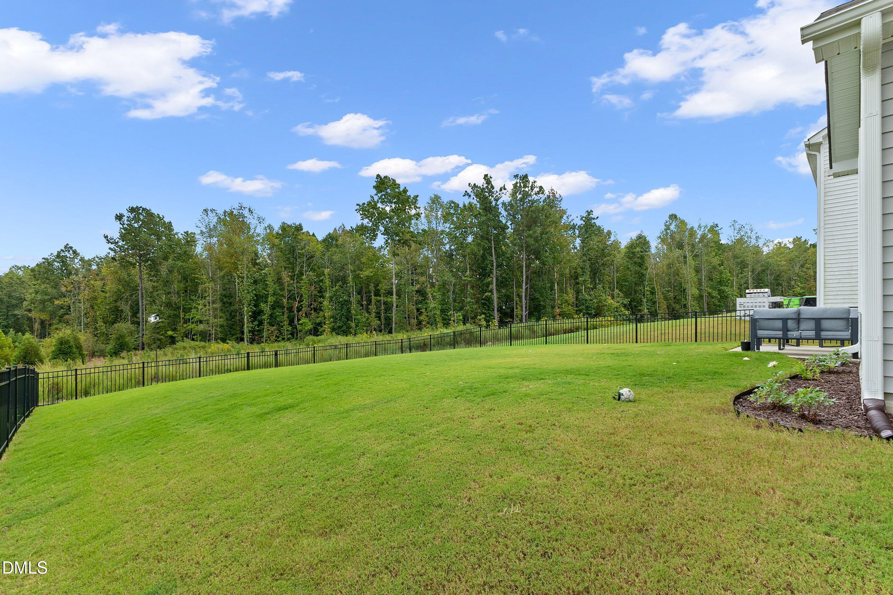 1260 Channel Drop Boulevard Zebulon, NC 27597 - Photo 23 of 29 Backyard pic 4