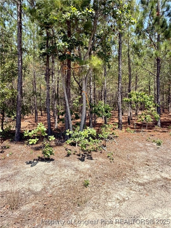 2 North Turnpike Road Wagram, NC 28396 - Photo 1 of 6 Gallery Image 1