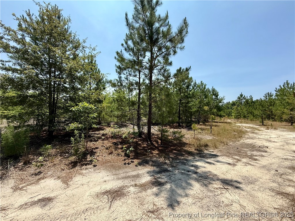 2 North Turnpike Road Wagram, NC 28396 - Photo 2 of 6 Gallery Image 2