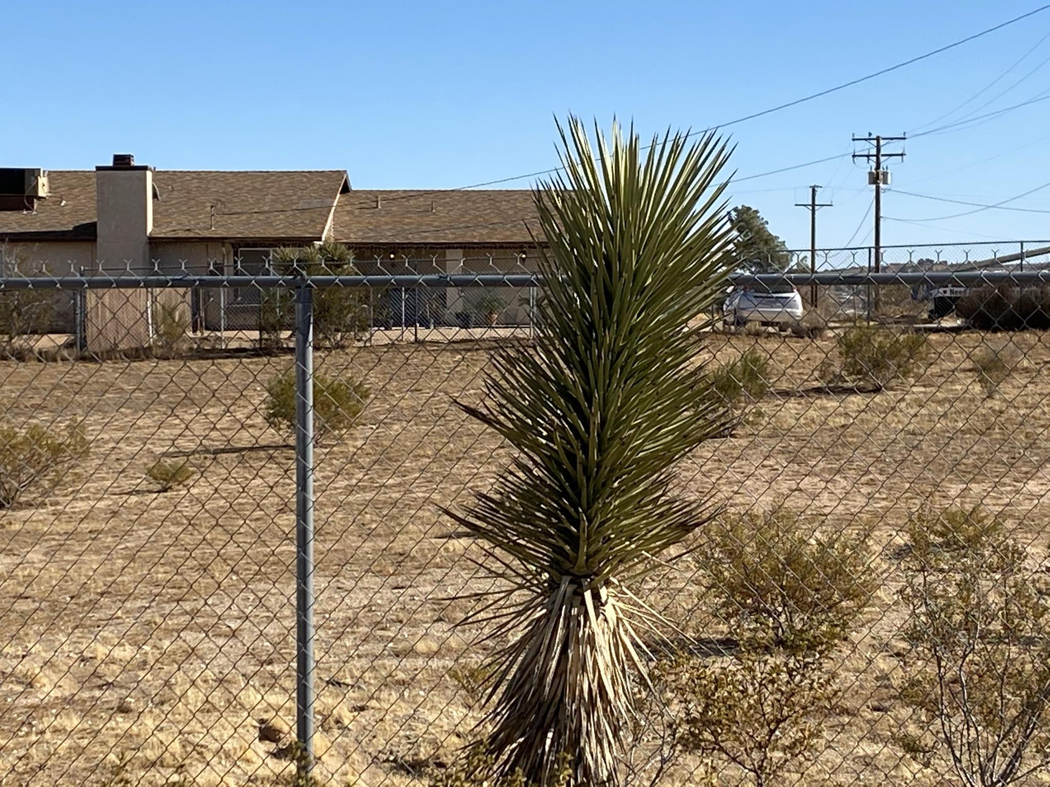 Candelaria Road Apple Valley, CA 92308 - Photo 6 of 12 IMG_0183