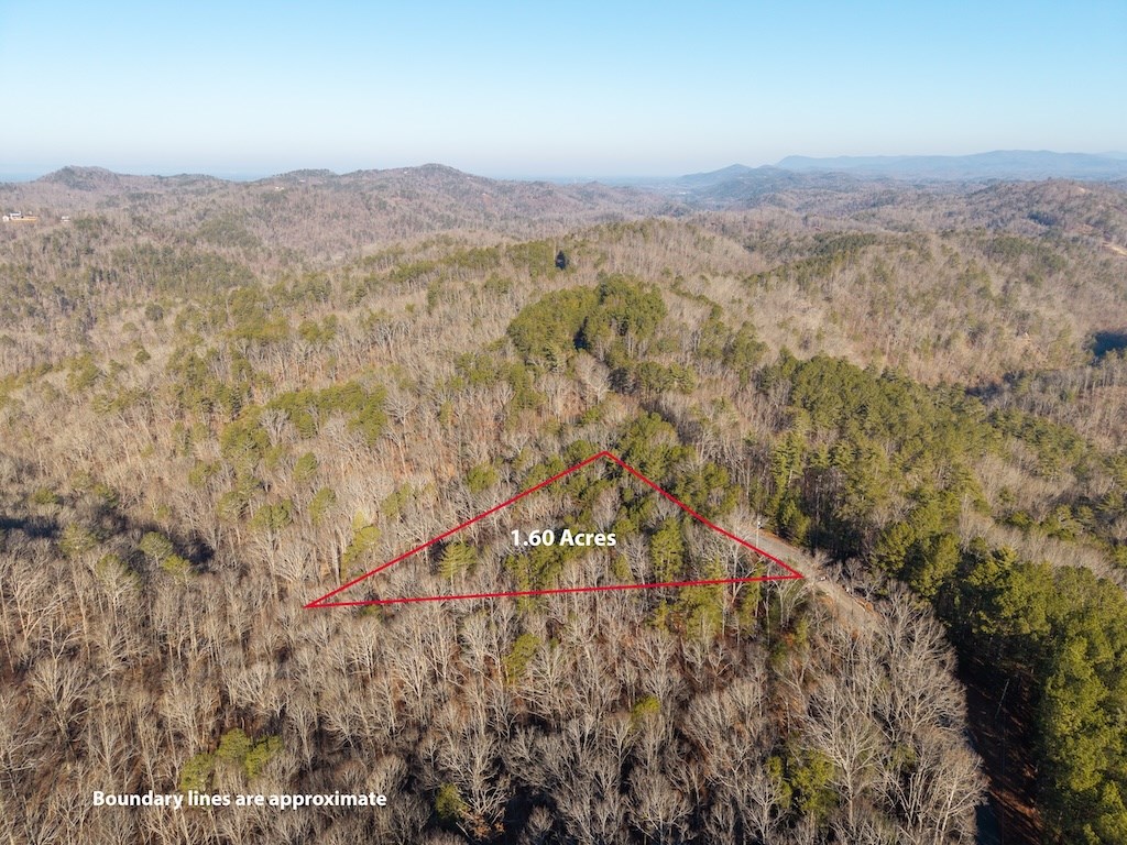 1665 Hunter Drive Ranger, GA 30734 - Photo 6 of 18 a view of a city with mountains in the background