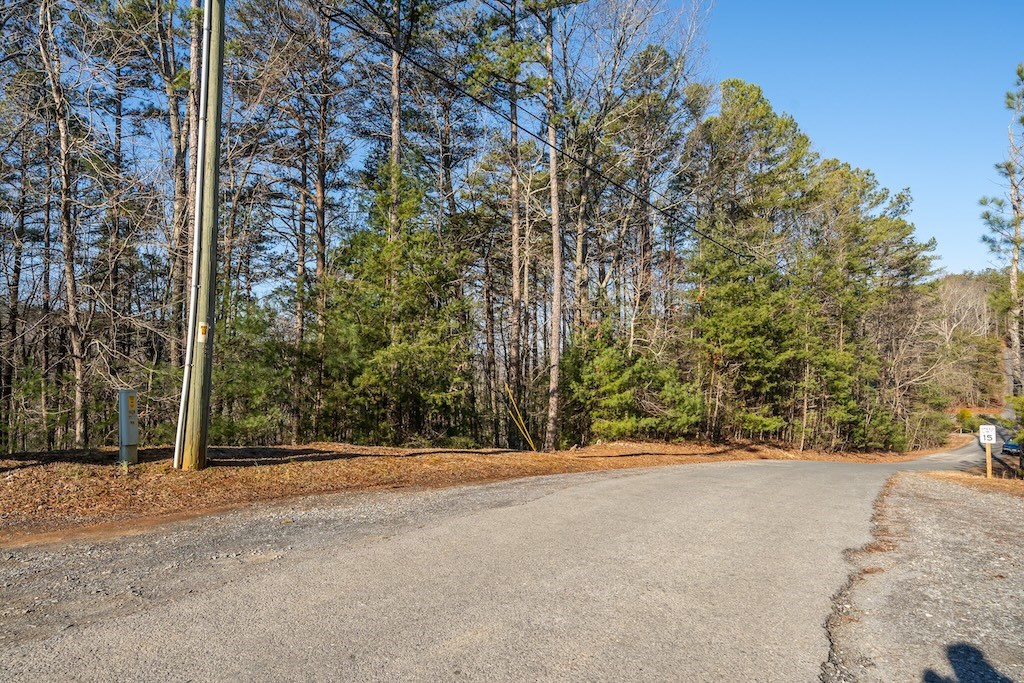 1665 Hunter Drive Ranger, GA 30734 - Photo 8 of 18 a view of a yard with large trees
