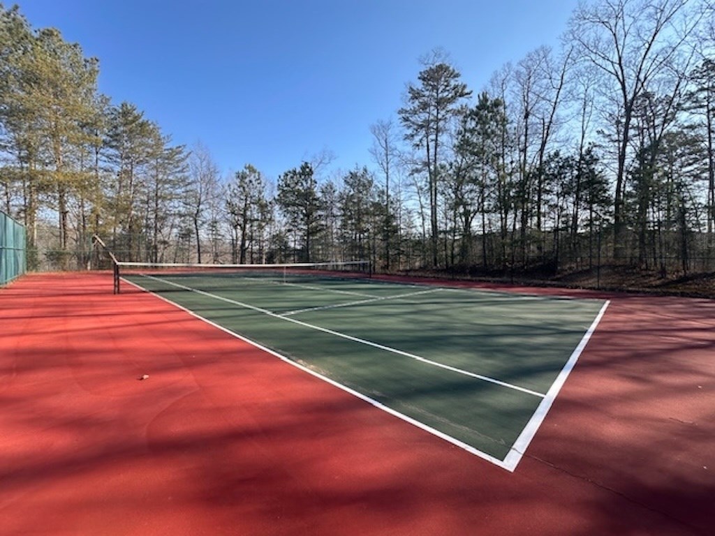 1665 Hunter Drive Ranger, GA 30734 - Photo 10 of 18 a view of a tennis ground with large trees