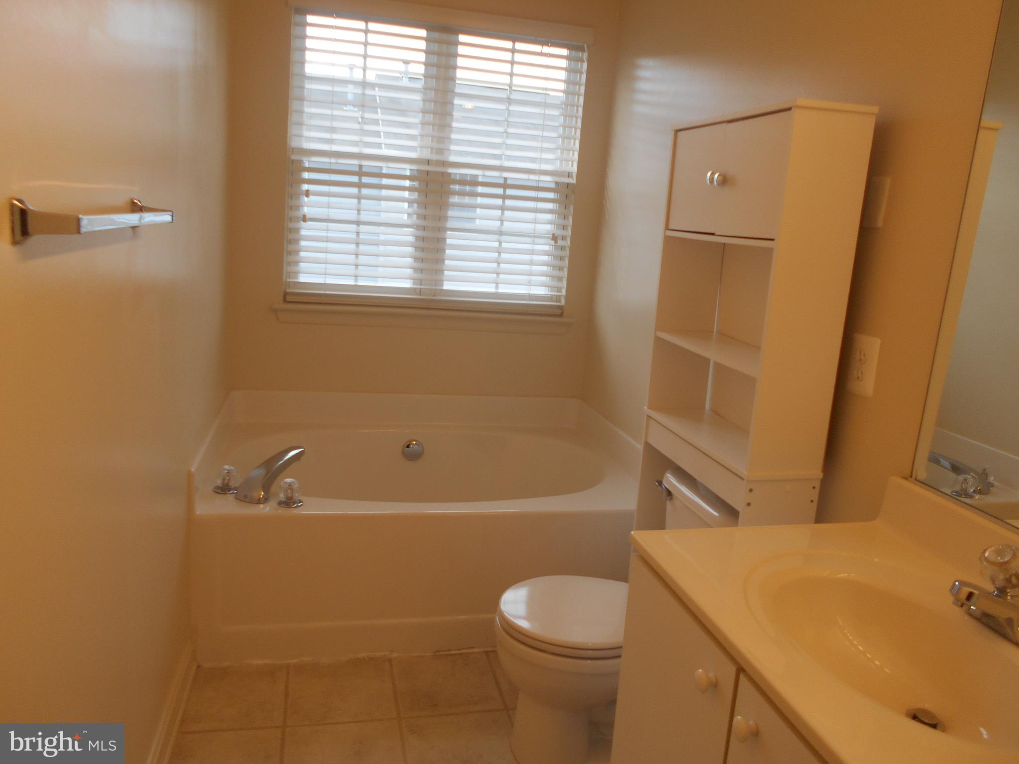 650 Luthardt Road Baltimore, MD 21220 - Photo 18 of 22 Bath (Master)
