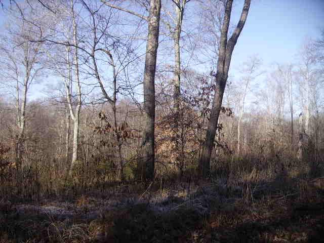 1 Archer Road Lafayette, TN 37083 - Photo 2 of 3