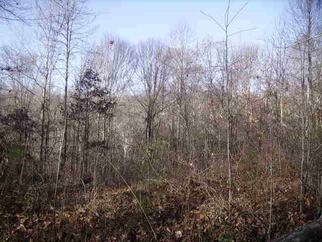 1 Archer Road Lafayette, TN 37083 - Photo 3 of 3