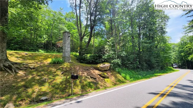 a view of a yard with potted plants