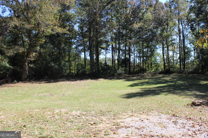 163 Terri Road LaGrange, GA 30240 - Photo 11 of 13 a view of swimming pool with trees