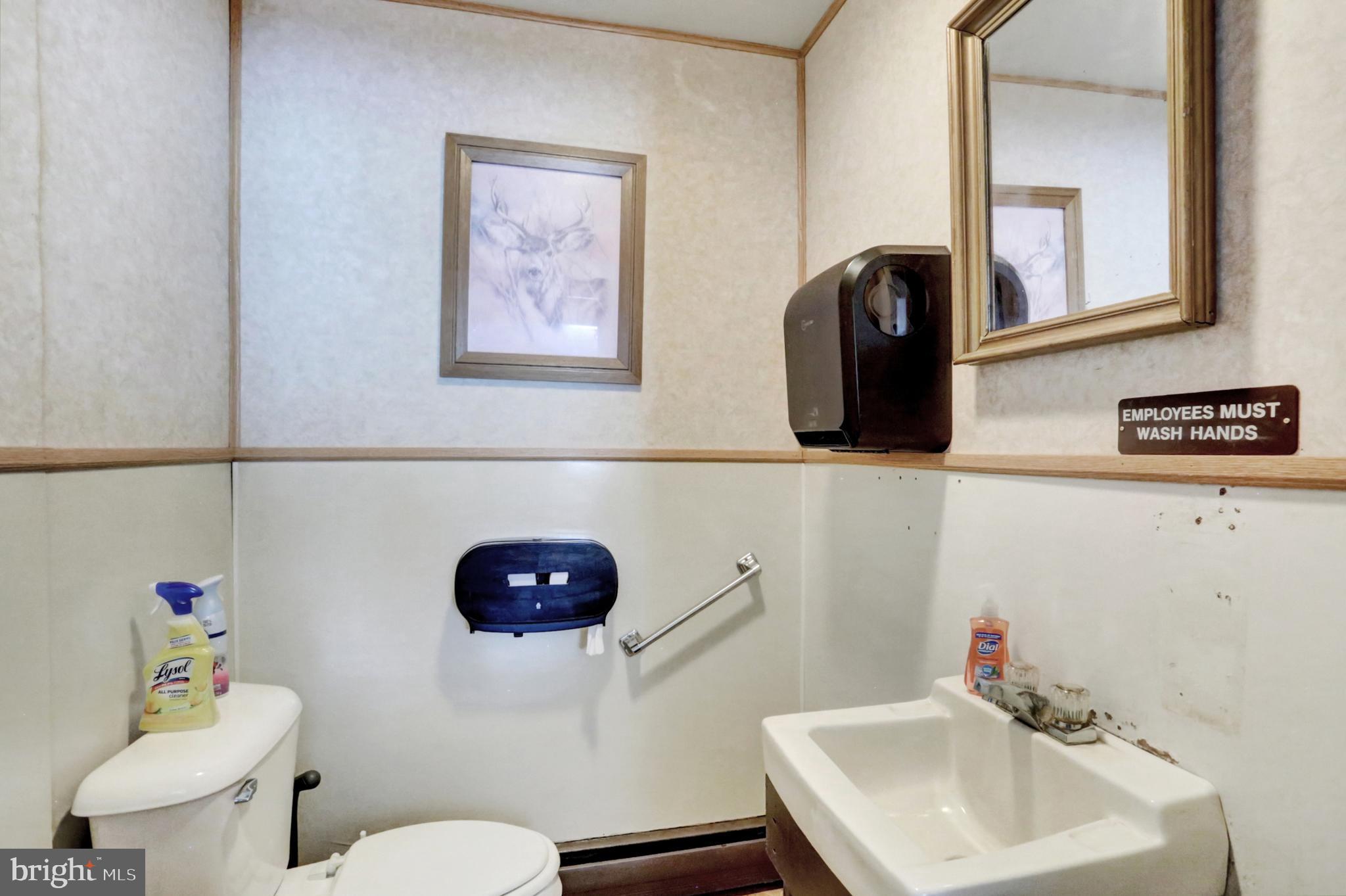 8370 Rte 104 Mount Pleasant Mills, PA 17853 - Photo 21 of 71 a bathroom with a toilet a sink and a mirror