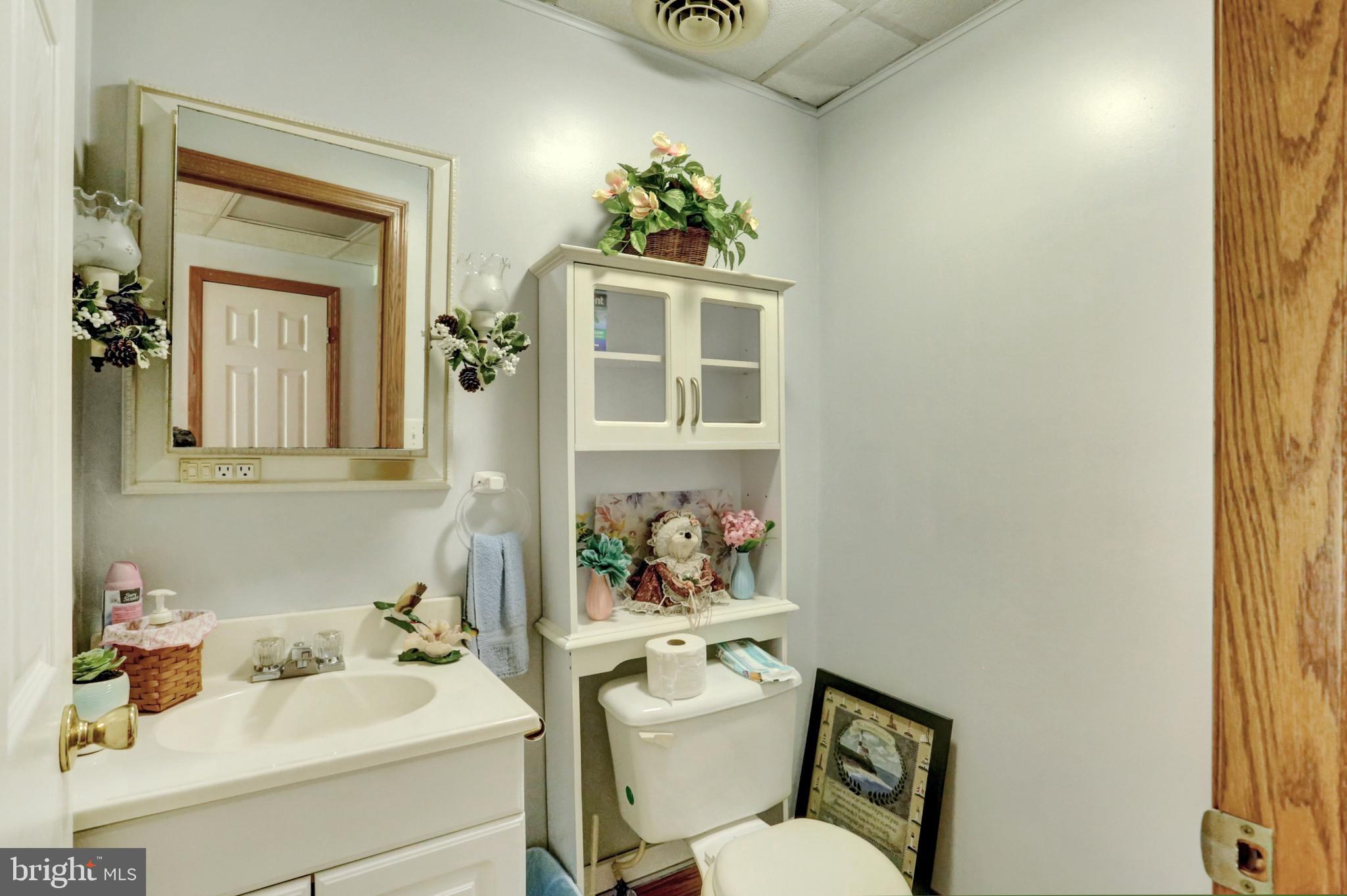 8370 Rte 104 Mount Pleasant Mills, PA 17853 - Photo 48 of 71 a bathroom with a sink mirror and toilet