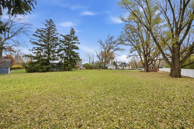 a view of yard with green space