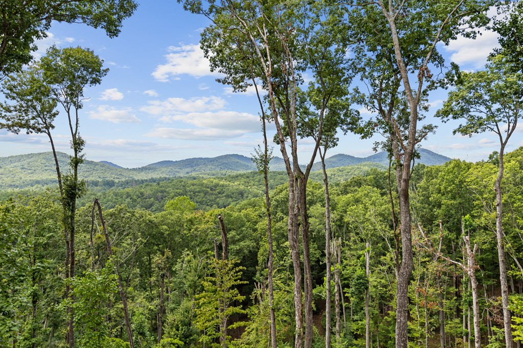 394 Mountain Trace Cherry Log, GA 30522 - Photo 11 of 70