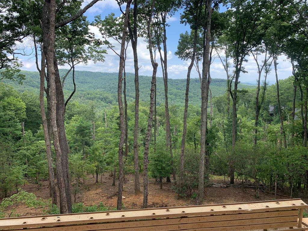 394 Mountain Trace Cherry Log, GA 30522 - Photo 69 of 70 View from back deck