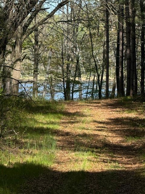 3 County Road 3 Merrifield, MN 56465 - Photo 19 of 36