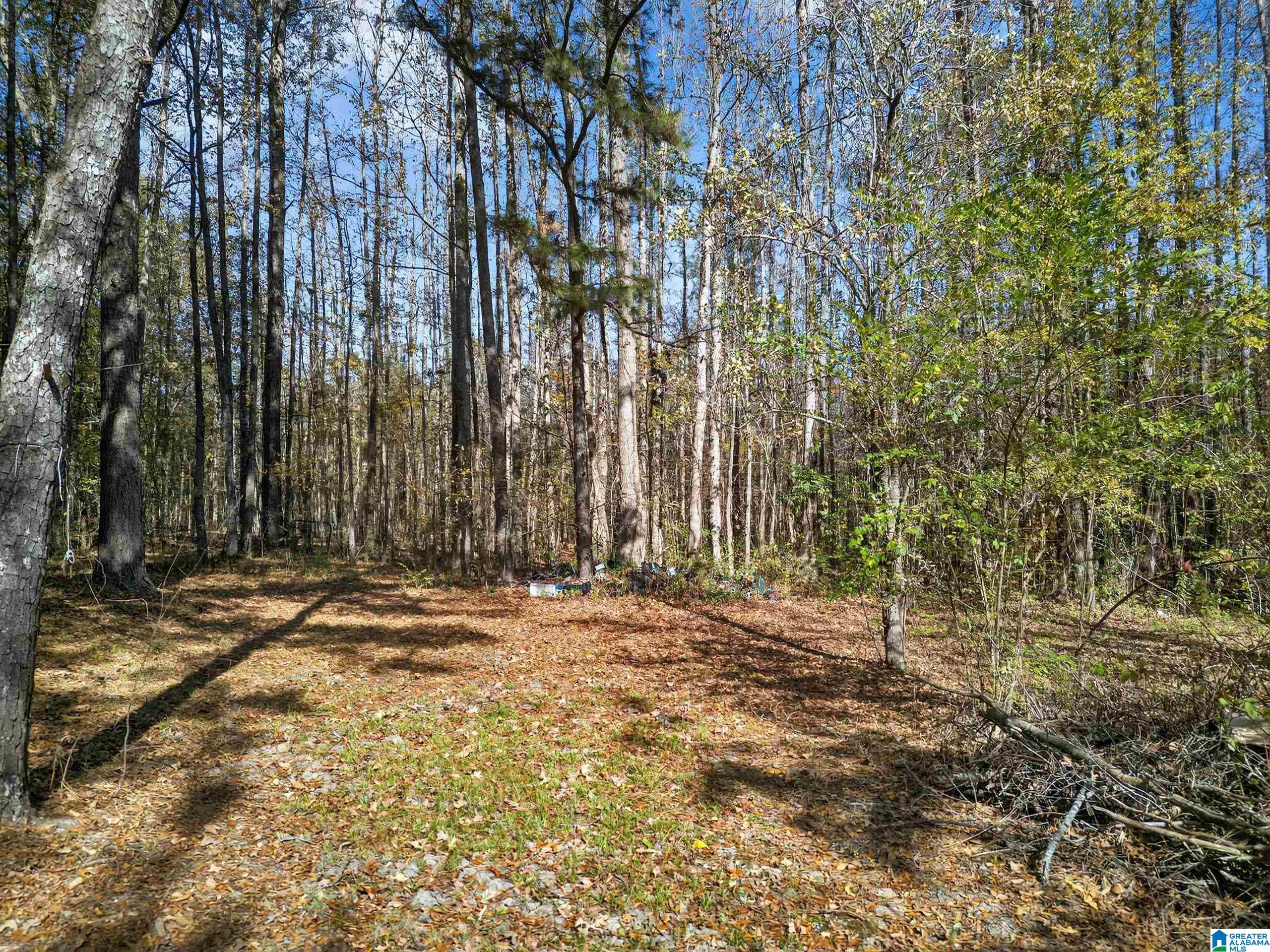 206 Pruitt Road Piedmont, AL 36272 - Photo 21 of 28