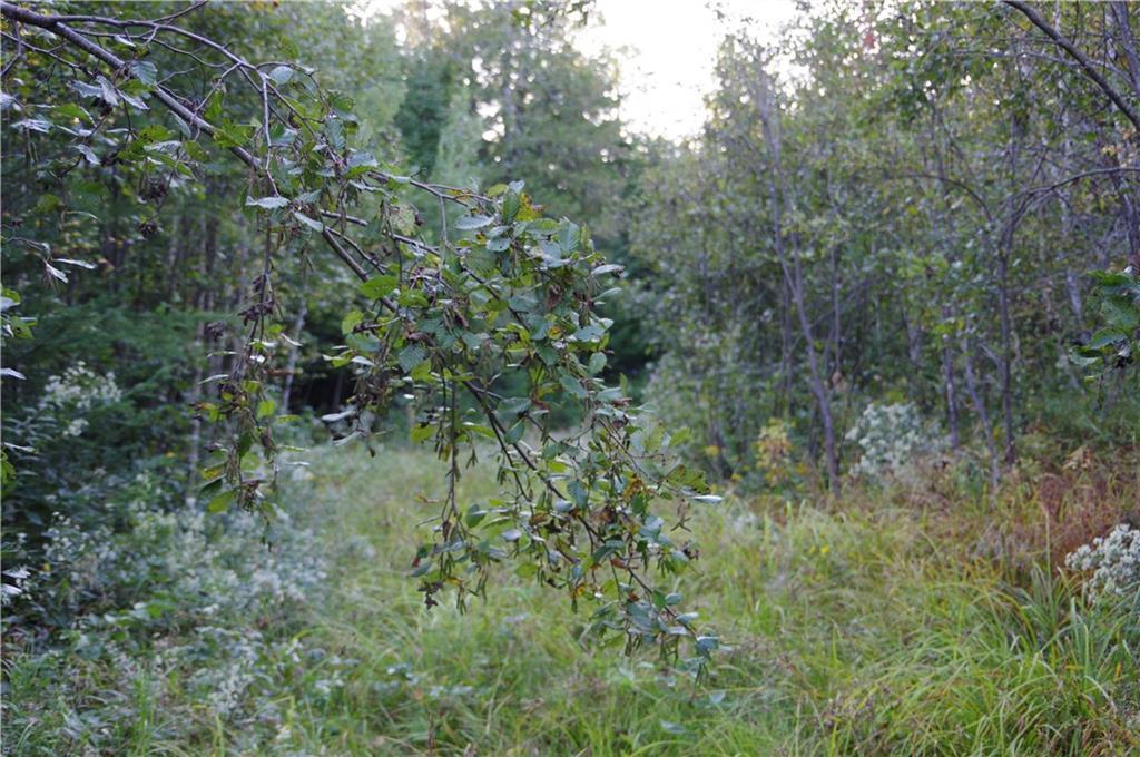 Tbd Milo Road Sebec, ME 04481 - Photo 11 of 18 sebec 1