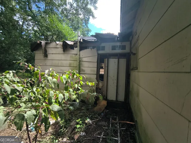 a view of a garden with a tree