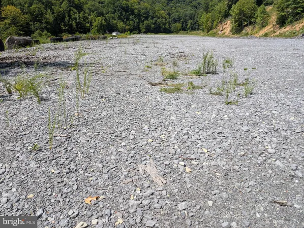 a view of a dry yard with wooden fence