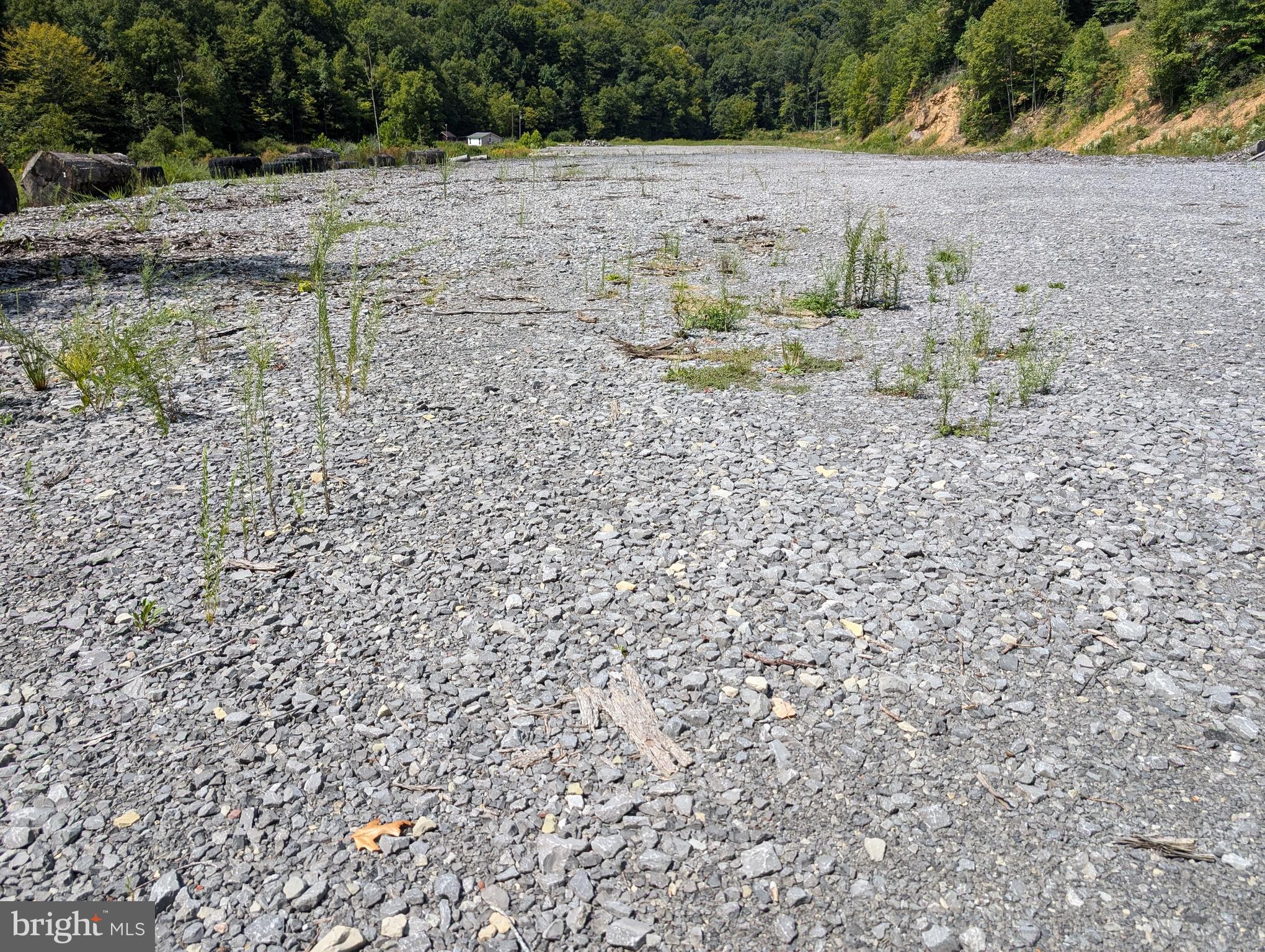 405 Checks Summersville, WV 26651 - Photo 17 of 21 a view of a dry yard with wooden fence
