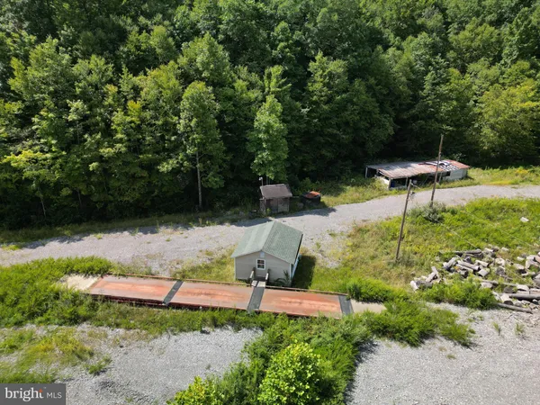 a view of a garden with an outdoor space