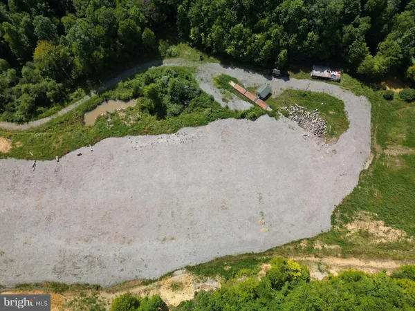 a view of a yard with plants
