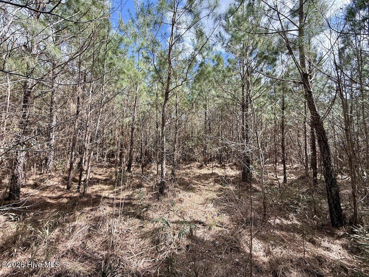 0 Guinea Mill Road Ernul, NC 28527 - Photo 19 of 24 19