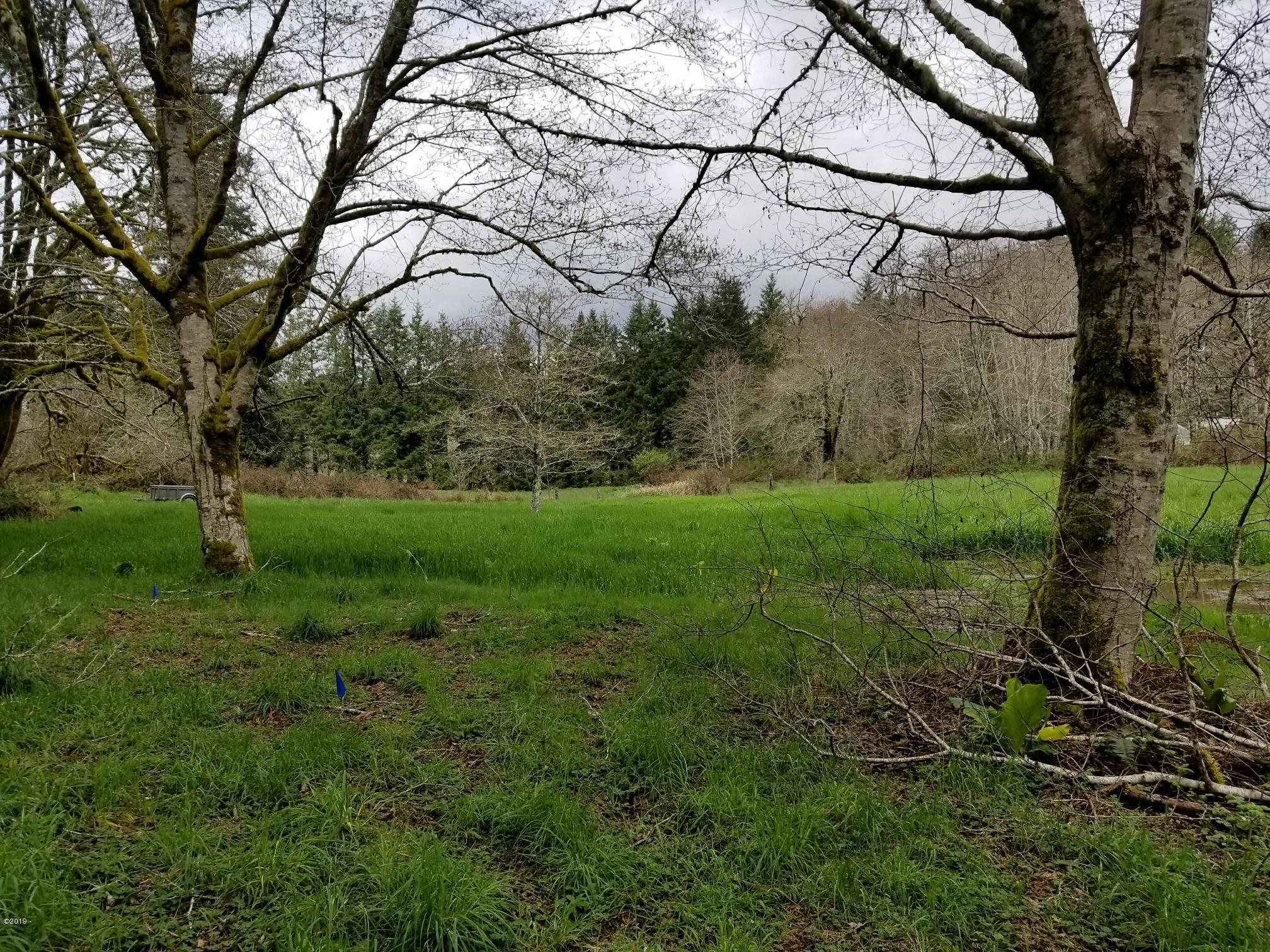 568 Olalla Road Toledo, OR 97391 - Photo 20 of 23 Pasture