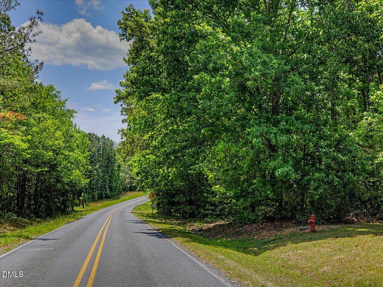 393 Gum Springs Church Road Moncure, NC 27559 - Photo 42 of 49 50-Wooded Area