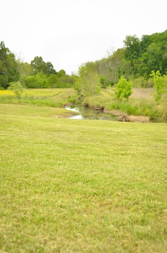 2735 Patterson Road Southeast Cleveland, TN 37323 - Photo 39 of 59 DSC_5304