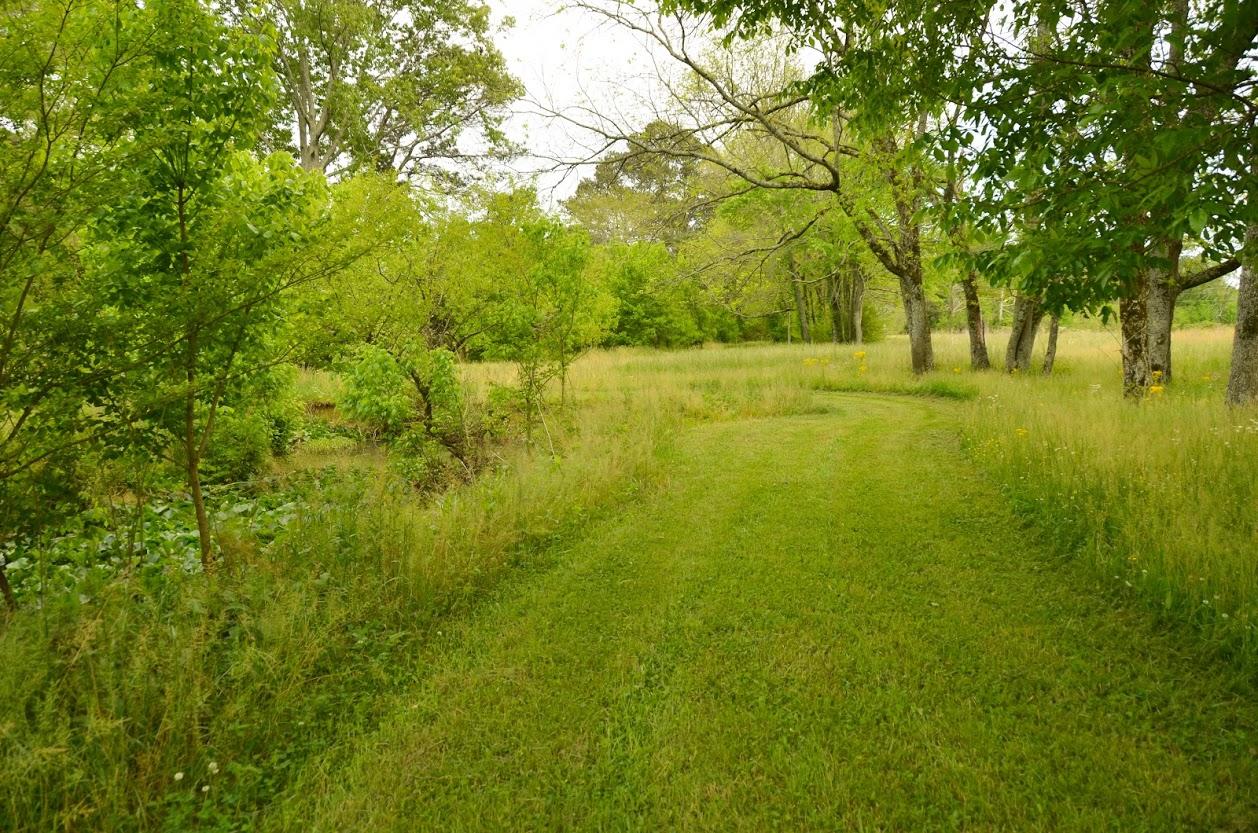 2735 Patterson Road Southeast Cleveland, TN 37323 - Photo 41 of 59 DSC_5309