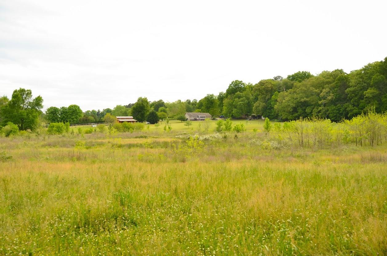 2735 Patterson Road Southeast Cleveland, TN 37323 - Photo 43 of 59 DSC_5317