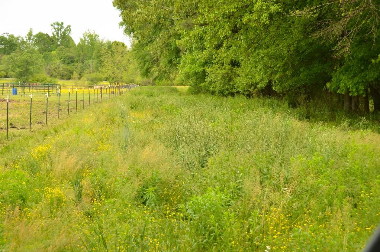2735 Patterson Road Southeast Cleveland, TN 37323 - Photo 46 of 59 DSC_5336