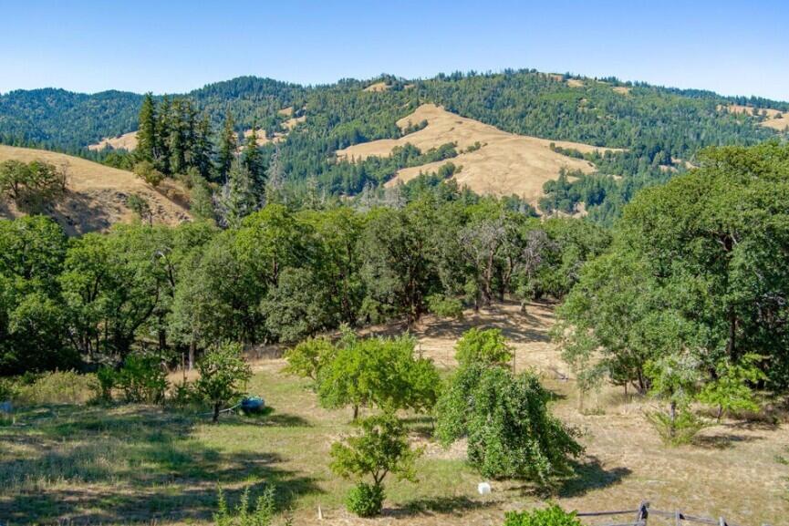 3830 Thomas Road Miranda, CA 95553 - Photo 4 of 82