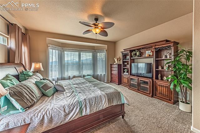 13812 Windy Oaks Road Colorado Springs, CO 80921 - Photo 22 of 50 Bedroom with a ceiling fan, carpet, and a textured ceiling
