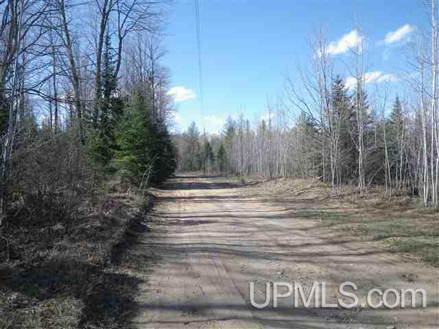 Tbd Grant Lake Road, Unit PARCEL 4 Republic, MI 49879 - Photo 8 of 8