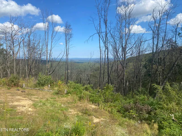 $110,000 | 281 Moytoy Road, Unit U107, Crab Orchard, TN 37723