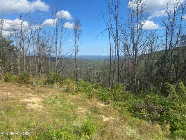 $110,000 | 281 Moytoy Road, Unit U107, Crab Orchard, TN 37723